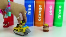 PAW PATROL MISSION PAW CRAYONS TOYS SURPRISES