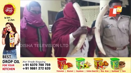 Odisha : Two Tusks, 42 Leopard Nails Seized By Forest Dept