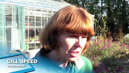 Made in Kent: Spadework