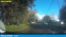 Driver escapes serious injury after tree falls in Grove Green