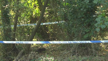 Search organised to help find missing mum