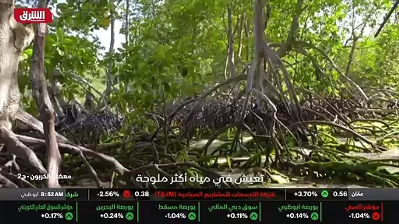 ...أنا ....