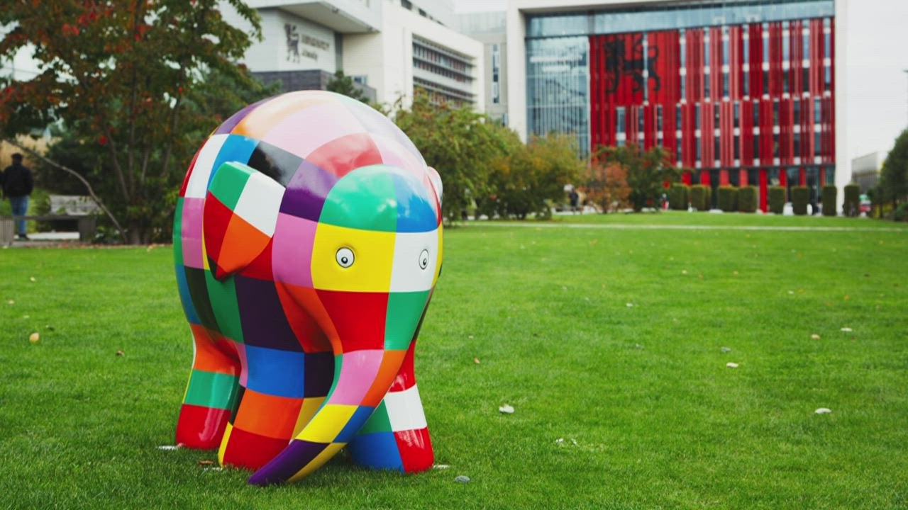 Elmer the elephant art trail coming to Maidstone to support Heart of Kent Hospice