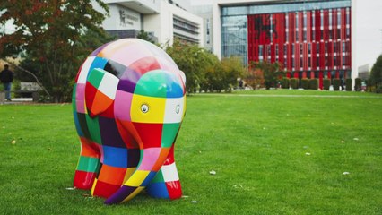 Elmer the elephant art trail coming to Maidstone to support Heart of Kent Hospice