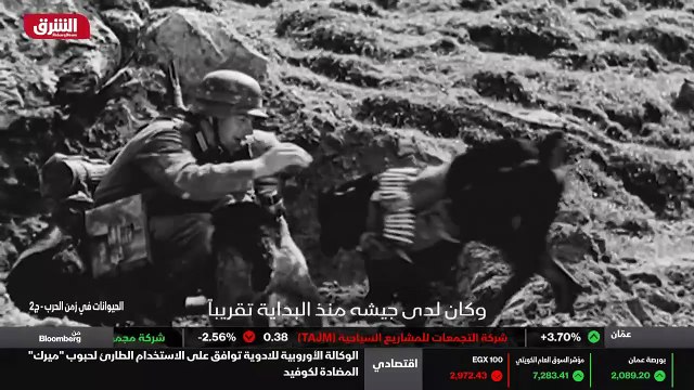 ...اساسي للمعدات ، اذ اعتمدت القوات الأرضية...
