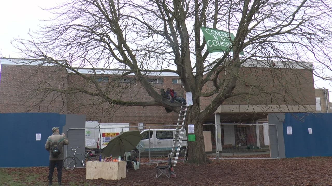 Protesters in Tonbridge tie themselves to tree