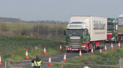 Government's no-Brexit traffic plans a "farce"