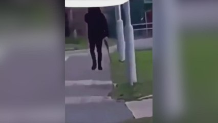 Fulston Manor School releases statement after youth spotted with gun