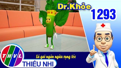 Dr. Khỏe - Tập 1293: Lá gai ngăn ngừa rụng tóc