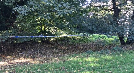 Hundreds search New Ash Green for missing woman