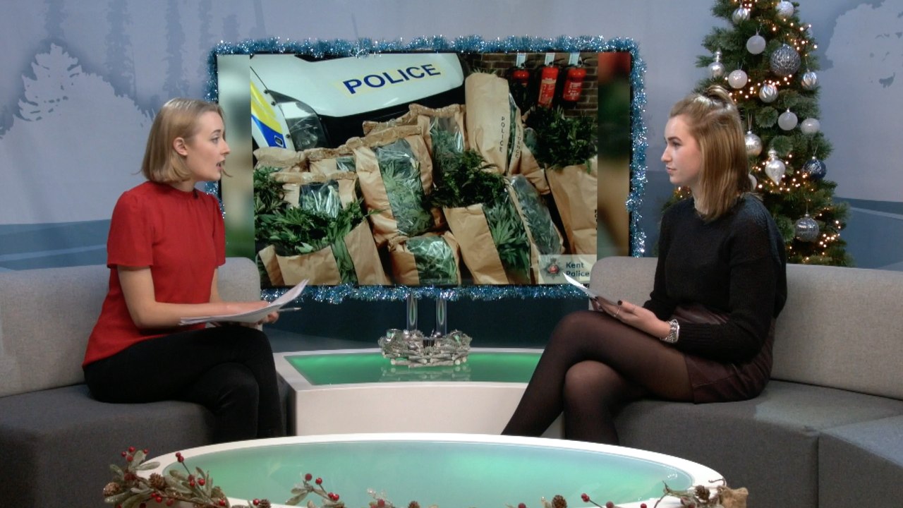 Hundreds of cannabis plants seized from Maidstone home