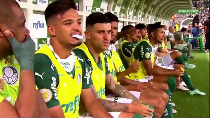 Palmeiras x São Paulo (Campeonato Brasileiro 2021 33ª rodada) 1° tempo