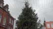 Faversham Christmas Tree decorated halfway to deter young vandals