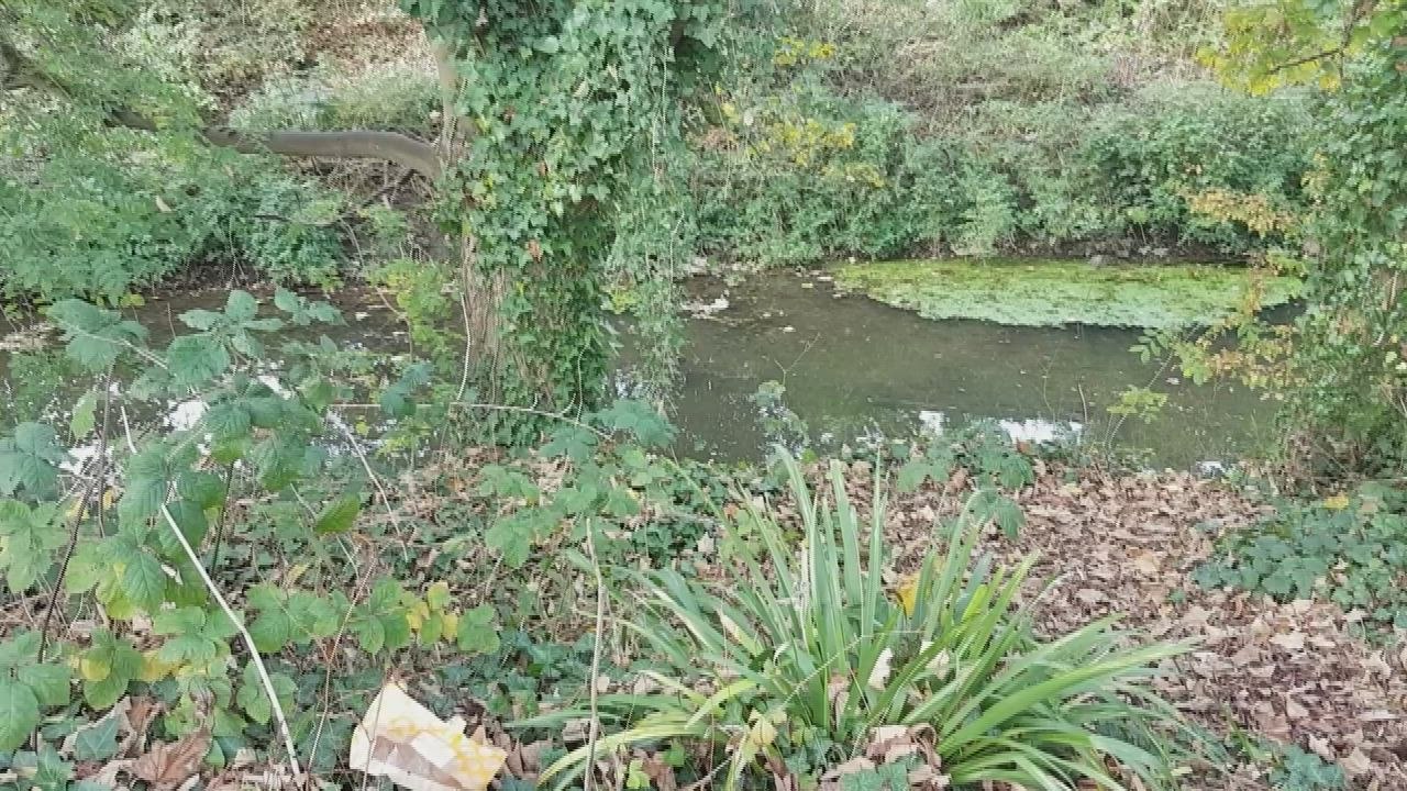 Police appeal after woman 'raped' in broad daylight in Ashford