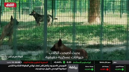 ...بالنسبة الينا...