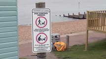 Canterbury City Council fail to issue dog fouling fines despite launching crackdown