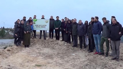 ÇANAKKALE - Biga'da ölen arkadaşları adına hatıra ormanı yaptılar