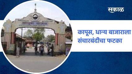 Amravati ; कापूस, धान्य बाजाराला संचारबंदीचा फटका, सोमवारपासून तरी बाजार सुरु होणार का?
