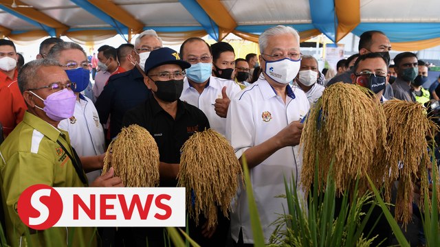 PM: Govt will help alleviate farmers’ burden caused by fertiliser and pesticide price hike
