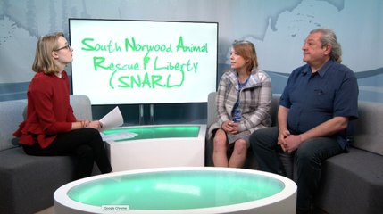 Infamous Croydon cat killer might be behind brutal death of a cat in Folkestone