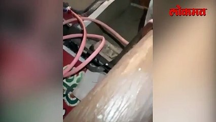 कुरियरच्या कार्टनमध्ये चक्क कोब्रा आला