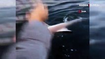 Hatay Samandağ'da amatör balıkçının oltasına 1,5 metrelik köpek balığı takıldı