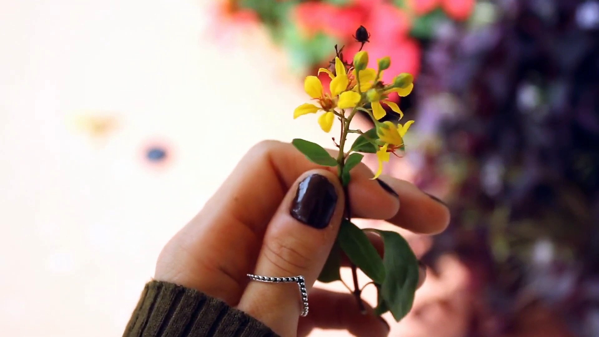 ⁣Free Background Music Maditation Music Mind Relaxing Music