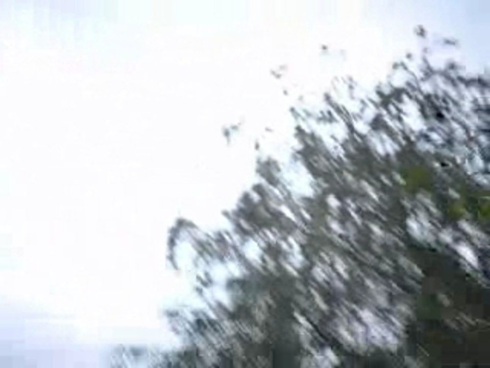 Crazy Commercial
