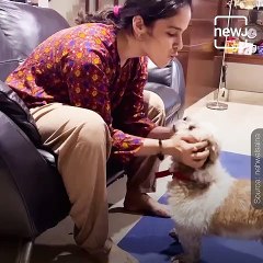 Badminton Star Saina Nehwal Shares Video With Her Pets