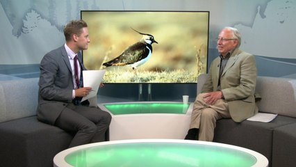 Kent Wildlife Trust celebrates their diamond anniversary