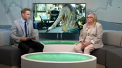 Family carers provide 149 million hours of unpaid care across the country