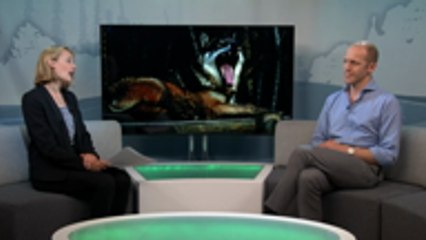 Researchers say re-introducing grey wolves in Scotland in a safe way will benefit its ecosystem