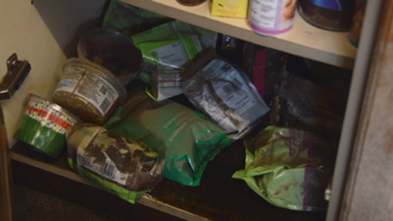 Stockbury couple face damages worth thousands of pounds after yesterday's floods