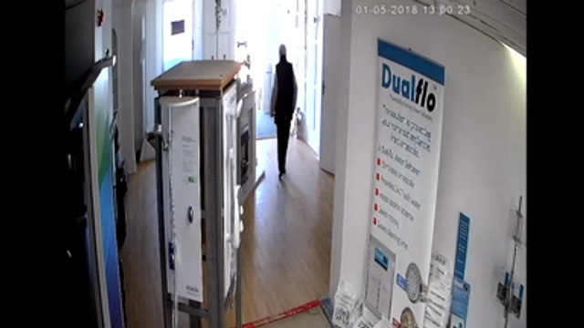 Seagull caught stealing pebbles from Whitstable showroom on CCTV