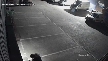 CCTV shows Gravesend garden basket thief