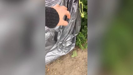 Footage shows dozens of wine bottles dumped in Thanet