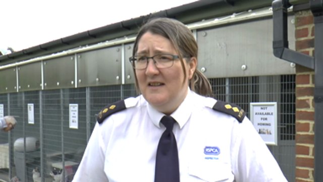 Kent revealed as one of the worst counties for animal cruelty complaints in the UK