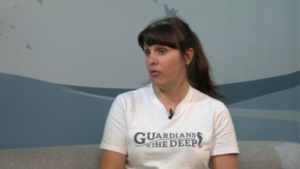 How is plastic affecting Kent's beaches?