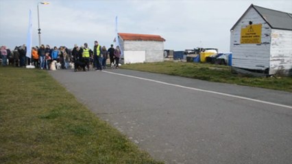 Hundreds of dog owners join their furry friends for sponsored walk in Deal