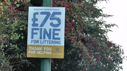 Increasing litter fines - is the idea a load of rubbish?