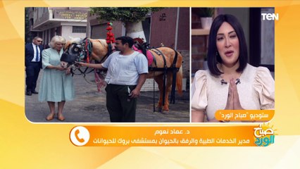 زيارة تاريخية.. كواليس زيارة الأميرة كاميلا لمستشفى "بروك" للحيوانات