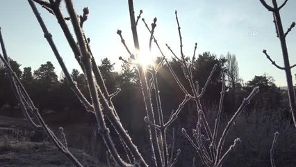 Soğuk hava etkili oluyor