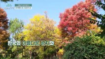 미국인이 한국의 공원을 보고 깜짝 놀란 이유는? TV CHOSUN 20211120 방송