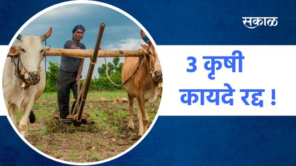 ३ कृषी कायदे रद्द ! | Sakal Media