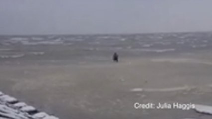 Man swims in frozen sea