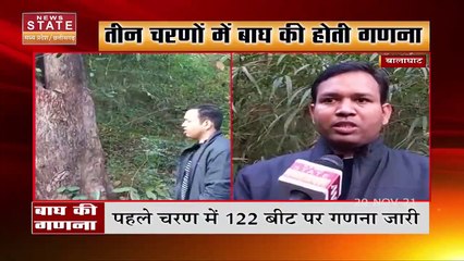 अखिल भारतीय बाघ गणना 2022 के तहत बालाघाट में बाघों की गणना शुरू, देखे रिपोर्ट