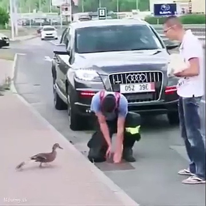 ‎قمة_الانسانيه_والرحمة