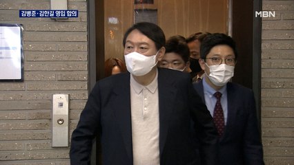 윤석열·김종인 긴급 회동…김병준·김한길 영입 합의