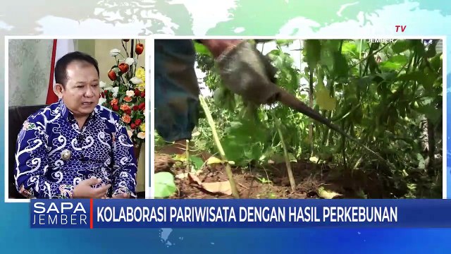 Bangkitkan Pariwisata Jember, Bupati Hendy Ajak Investor Berkolaborasi (3)