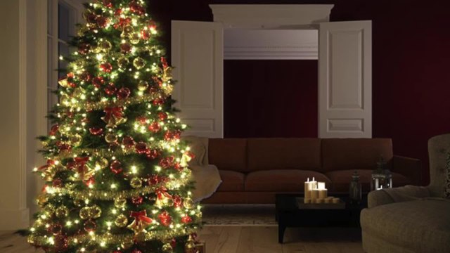 600 Christmas trees a day are to be collected for recycling